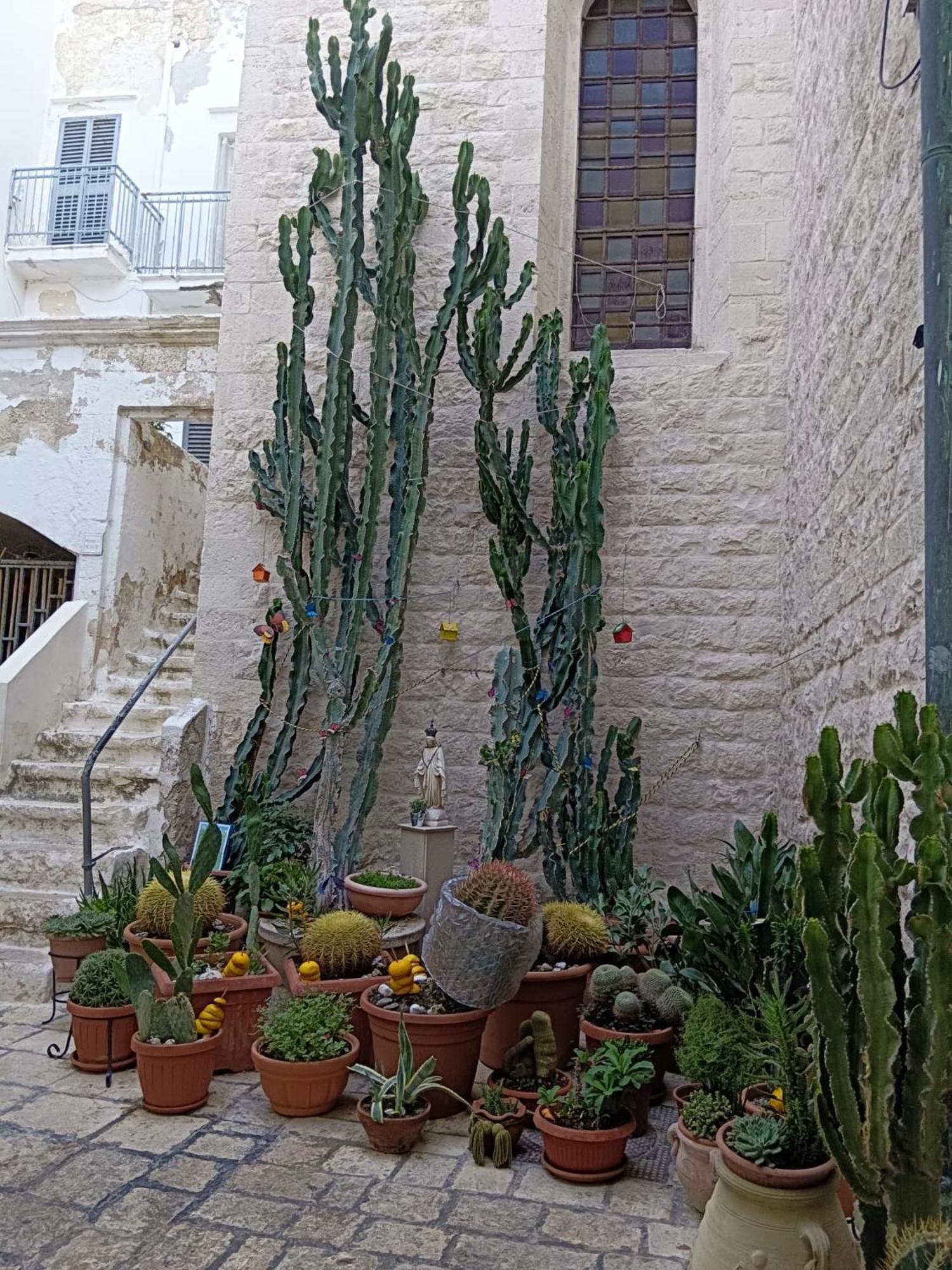 Palazzoliva - Luxury Boho Chic Guest House In The Historic Heart Of Мартина-Франка Экстерьер фото