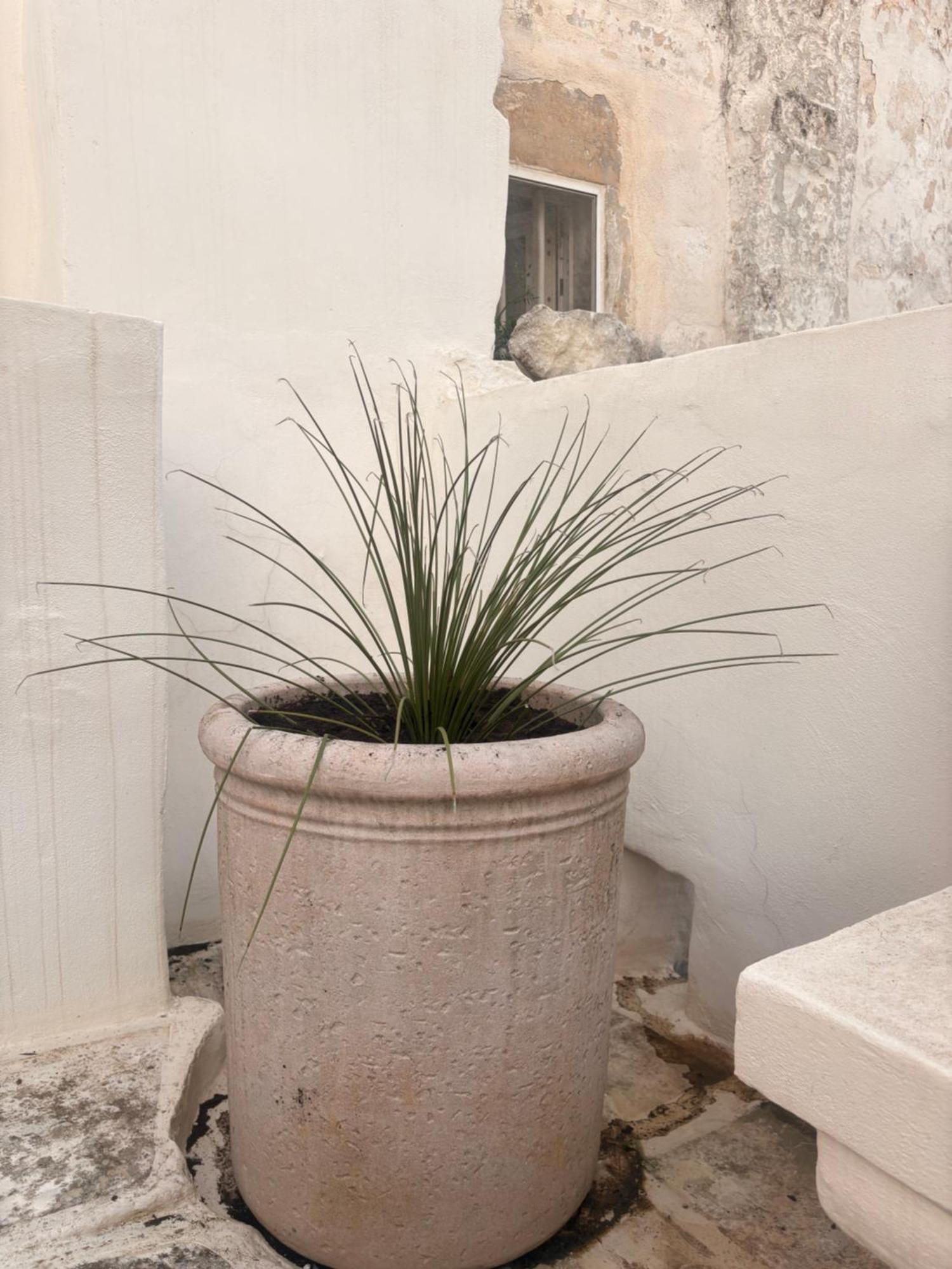 Palazzoliva - Luxury Boho Chic Guest House In The Historic Heart Of Мартина-Франка Экстерьер фото